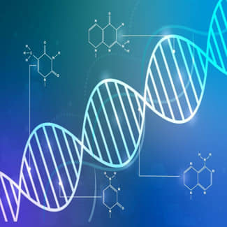 Eiwit die de DNA-reparatiemachine bij elkaar houdt ontdekt